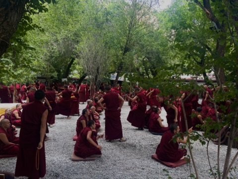 Debattierende Mönche im Klosterhof von Sera